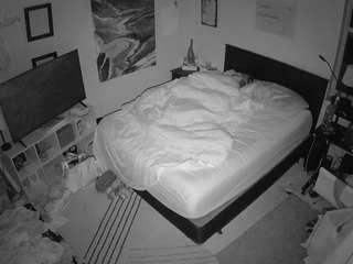 The Horny Hostel - Bedroom 2